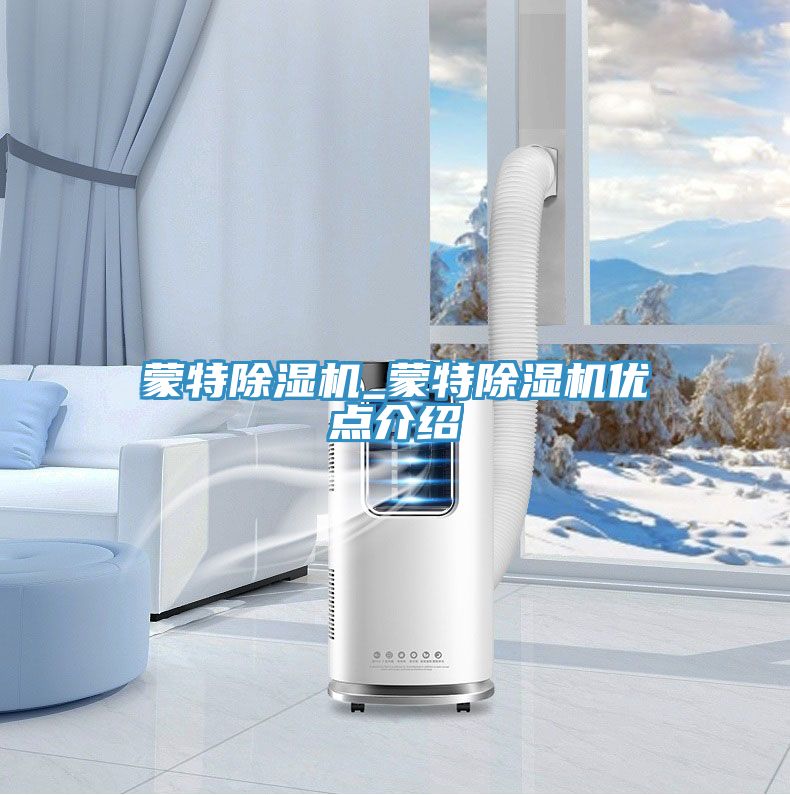 蒙特除濕機(jī)_蒙特除濕機(jī)優(yōu)點介紹