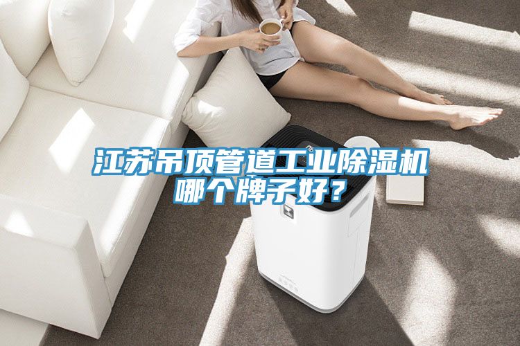 江蘇吊頂管道工業(yè)除濕機(jī)哪個牌子好？