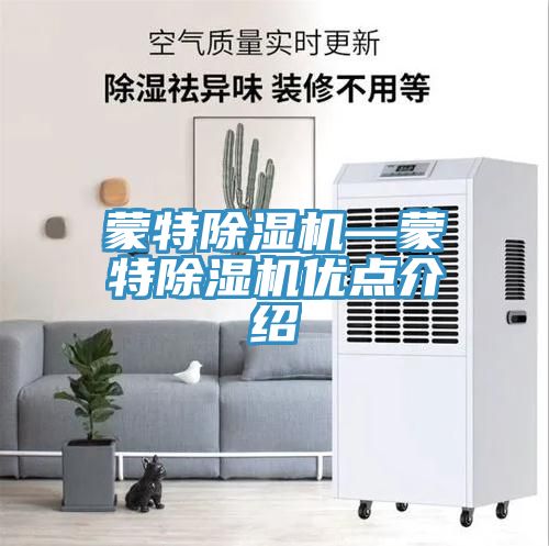 蒙特除濕機(jī)—蒙特除濕機(jī)優(yōu)點介紹