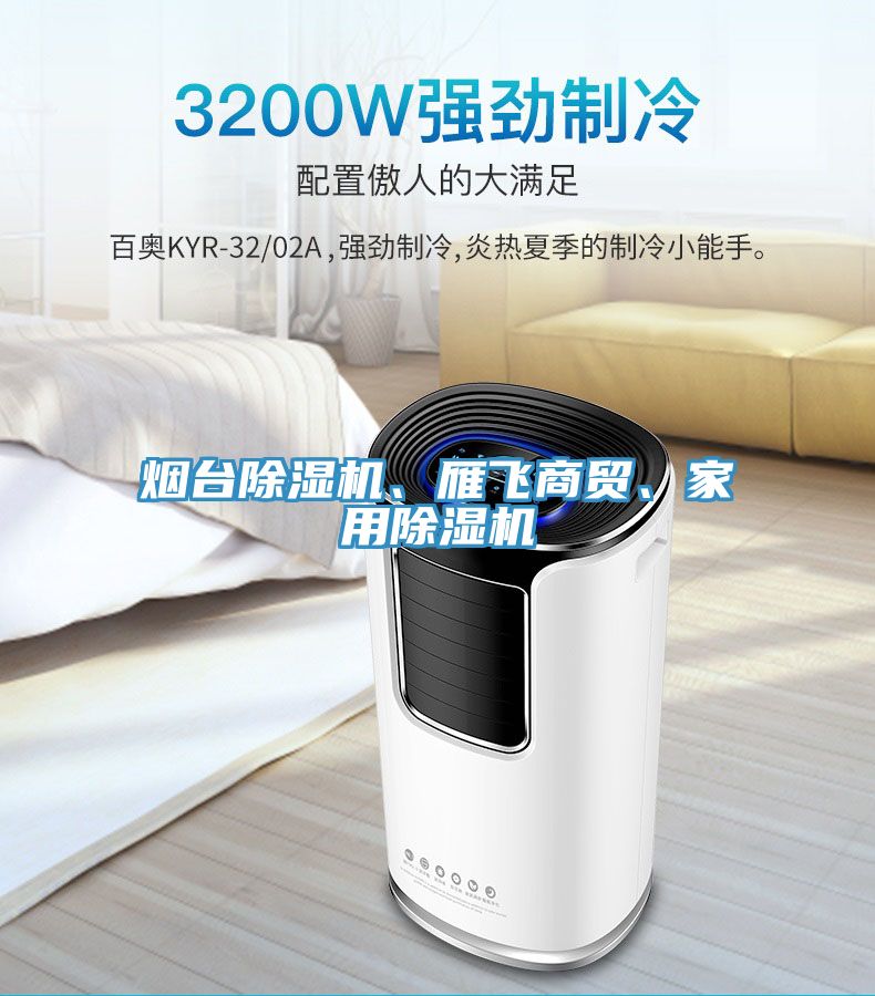 煙臺(tái)除濕機(jī)、雁飛商貿(mào)、家用除濕機(jī)