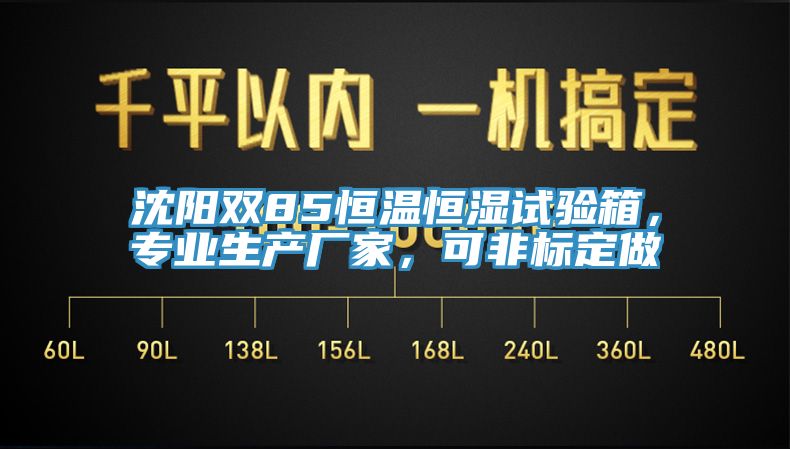 沈陽雙85恒溫恒濕試驗箱，專業(yè)生產廠家，可非標定做