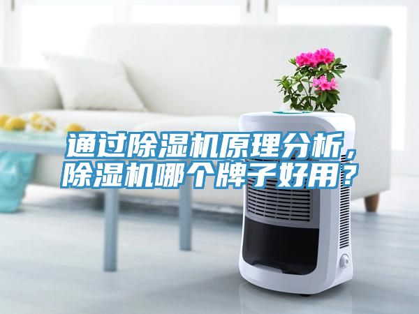 通過除濕機原理分析，除濕機哪個牌子好用？