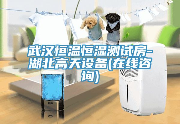 武漢恒溫恒濕測(cè)試房-湖北高天設(shè)備(在線(xiàn)咨詢(xún))