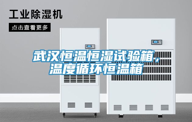 武漢恒溫恒濕試驗箱，溫度循環(huán)恒溫箱