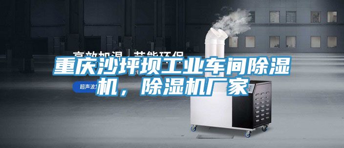 重慶沙坪壩工業車間除濕機，除濕機廠家