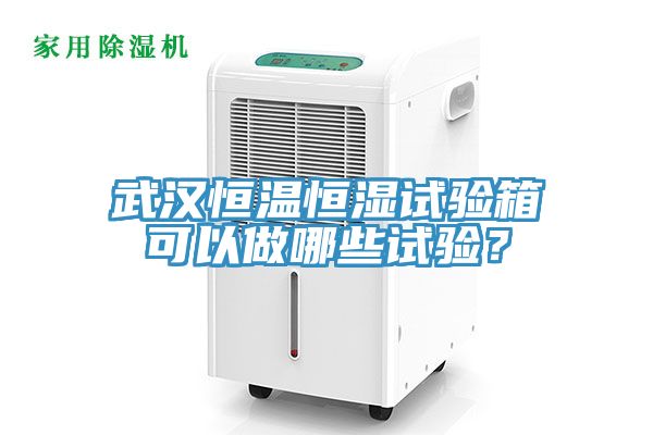 武漢恒溫恒濕試驗箱可以做哪些試驗？