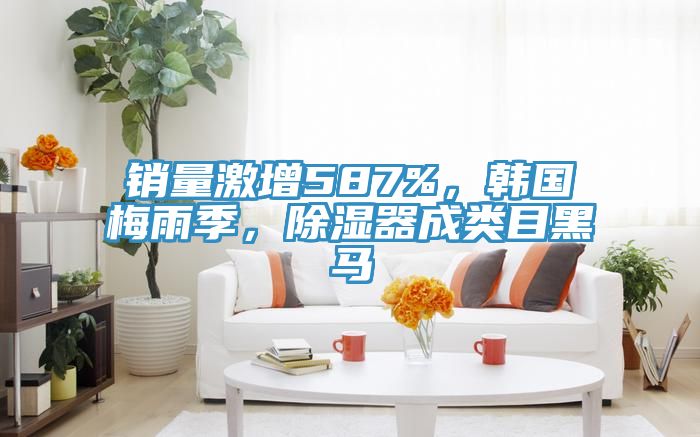 銷量激增587%，韓國梅雨季，除濕器成類目黑馬