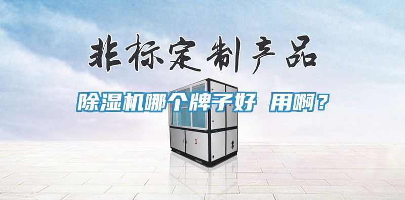 除濕機哪個牌子好 用??？
