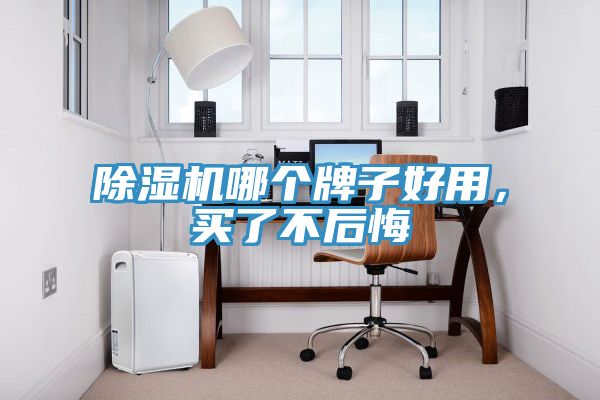 除濕機哪個牌子好用，買了不后悔