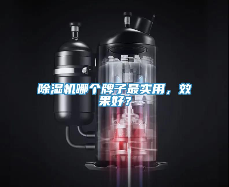 除濕機(jī)哪個(gè)牌子最實(shí)用，效果好？