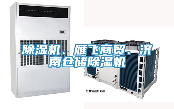 除濕機、雁飛商貿(mào)、濟南倉儲除濕機