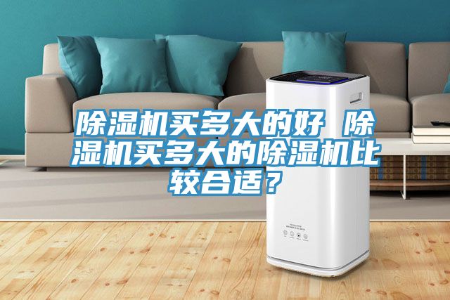 除濕機買多大的好 除濕機買多大的除濕機比較合適？