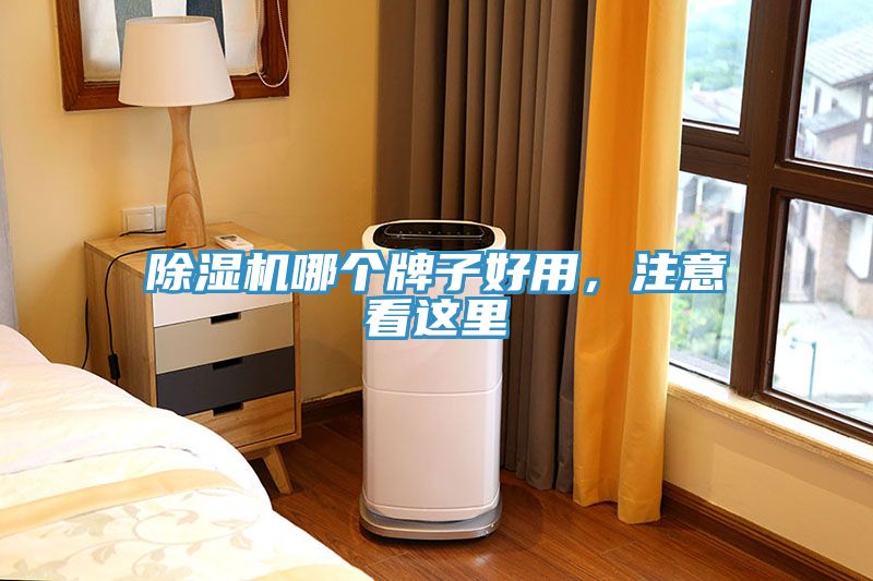 除濕機哪個牌子好用，注意看這里