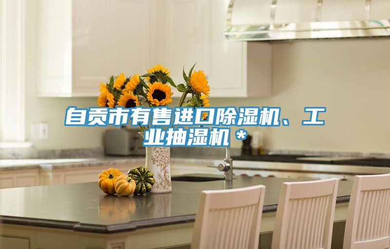 自貢市有售進(jìn)口除濕機、工業(yè)抽濕機＊