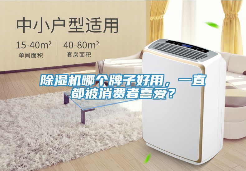 除濕機哪個牌子好用，一直都被消費者喜愛？
