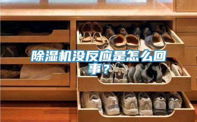 除濕機(jī)沒反應(yīng)是怎么回事？