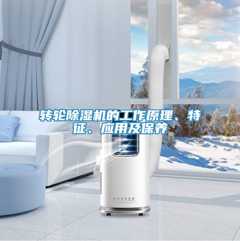 轉(zhuǎn)輪除濕機的工作原理、特征、應(yīng)用及保養(yǎng)