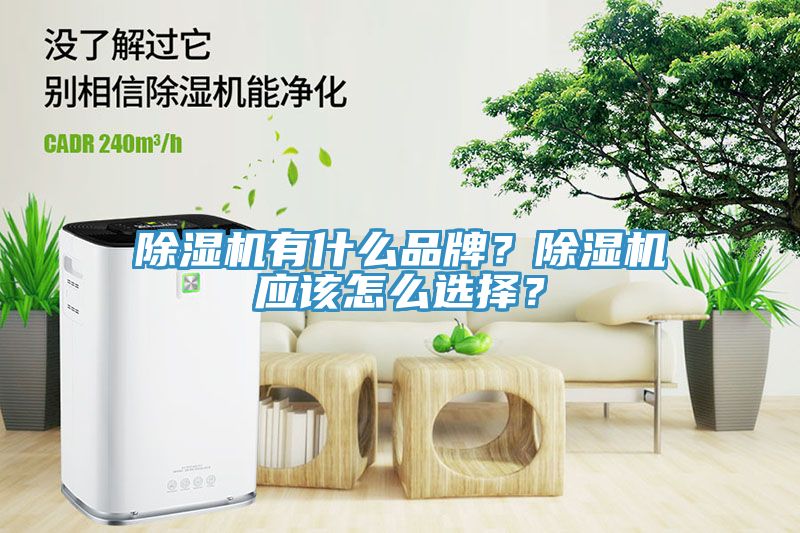 除濕機(jī)有什么品牌？除濕機(jī)應(yīng)該怎么選擇？