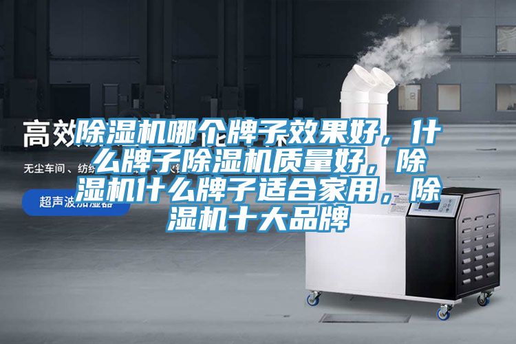 除濕機(jī)哪個(gè)牌子效果好，什么牌子除濕機(jī)質(zhì)量好，除濕機(jī)什么牌子適合家用，除濕機(jī)十大品牌