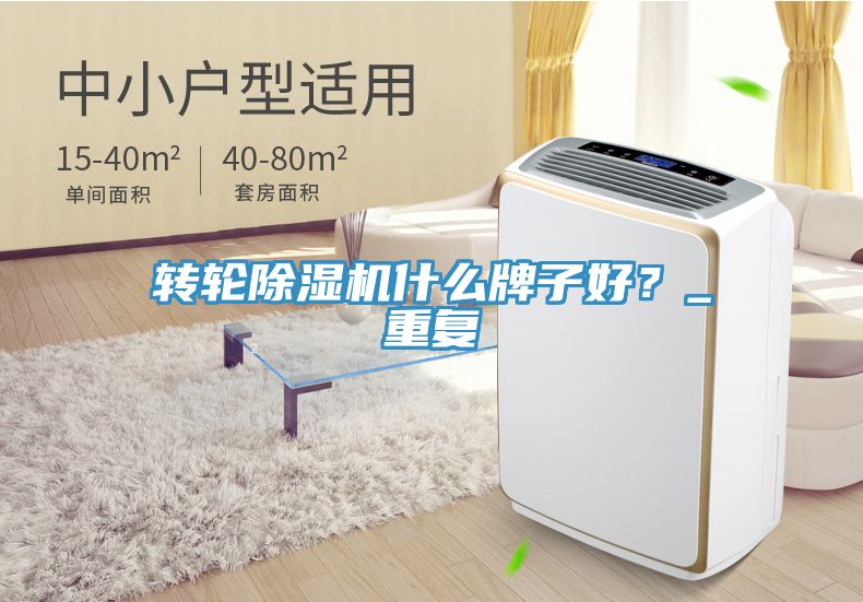 轉輪除濕機什么牌子好？_重復