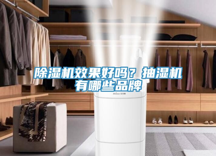 除濕機(jī)效果好嗎？抽濕機(jī)有哪些品牌
