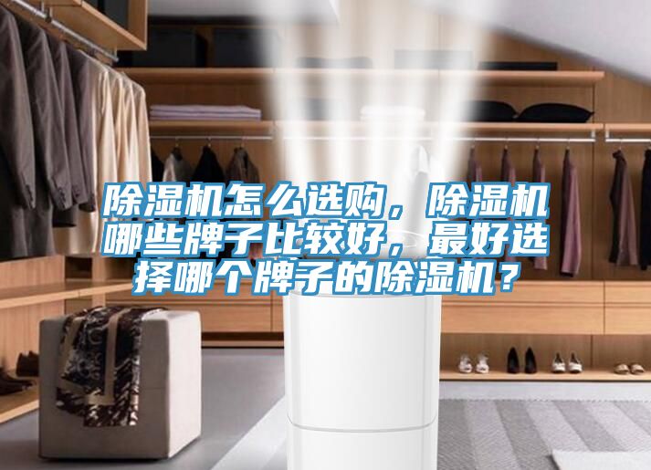 除濕機怎么選購，除濕機哪些牌子比較好，最好選擇哪個牌子的除濕機？