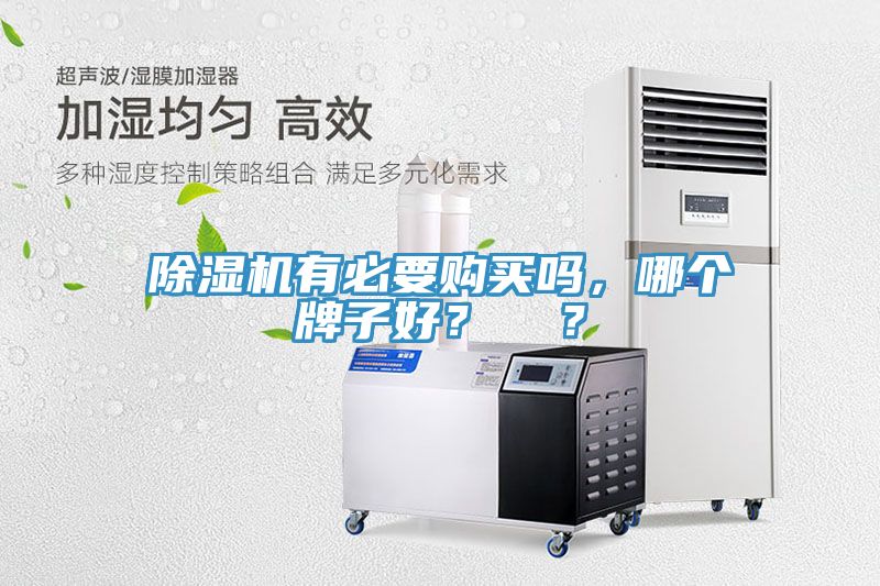 除濕機有必要購買嗎，哪個牌子好？  ？