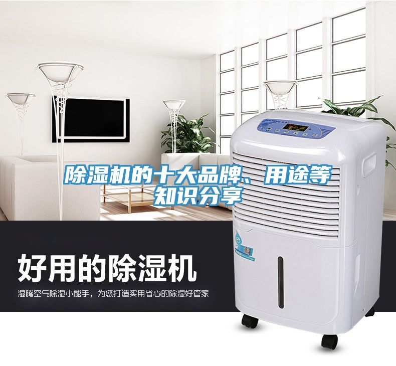 除濕機的十大品牌、用途等知識分享