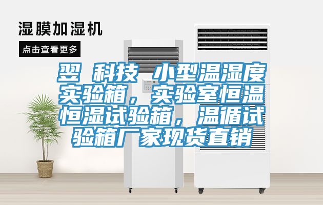 翌昇科技 小型溫濕度實(shí)驗(yàn)箱，實(shí)驗(yàn)室恒溫恒濕試驗(yàn)箱，溫循試驗(yàn)箱廠家現(xiàn)貨直銷