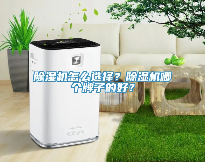 除濕機怎么選擇？除濕機哪個牌子的好？
