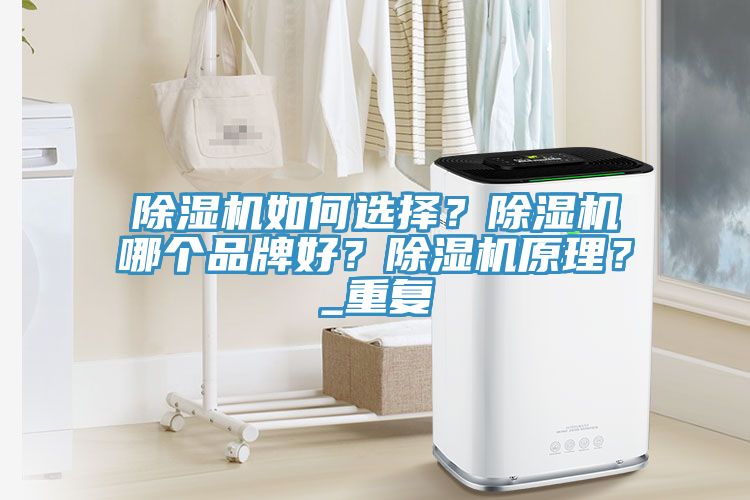 除濕機如何選擇？除濕機哪個品牌好？除濕機原理？_重復