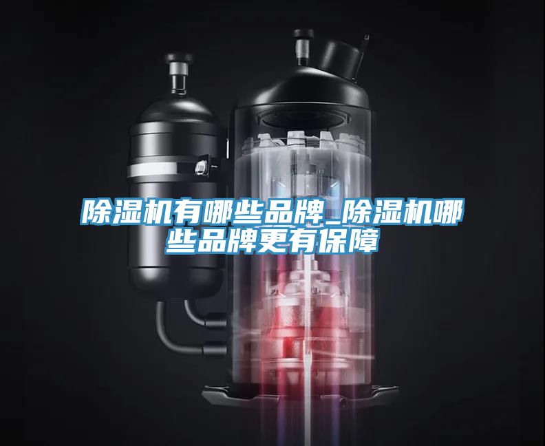 除濕機(jī)有哪些品牌_除濕機(jī)哪些品牌更有保障