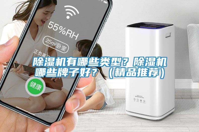 除濕機有哪些類型？除濕機哪些牌子好？（精品推薦）