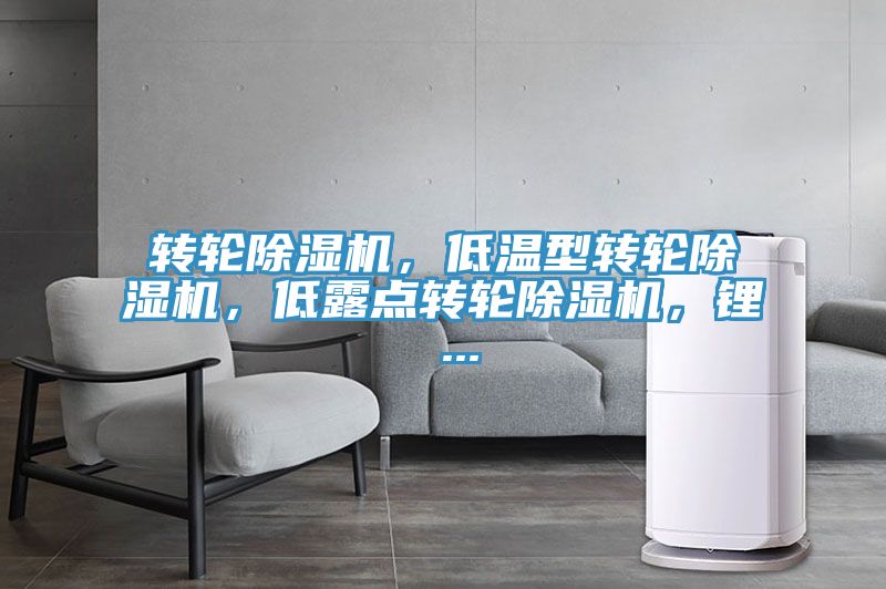 轉(zhuǎn)輪除濕機，低溫型轉(zhuǎn)輪除濕機，低露點轉(zhuǎn)輪除濕機，鋰 ...