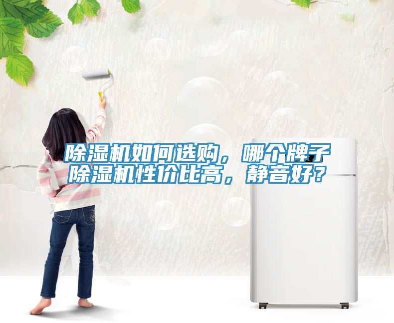除濕機如何選購，哪個牌子除濕機性價比高，靜音好？